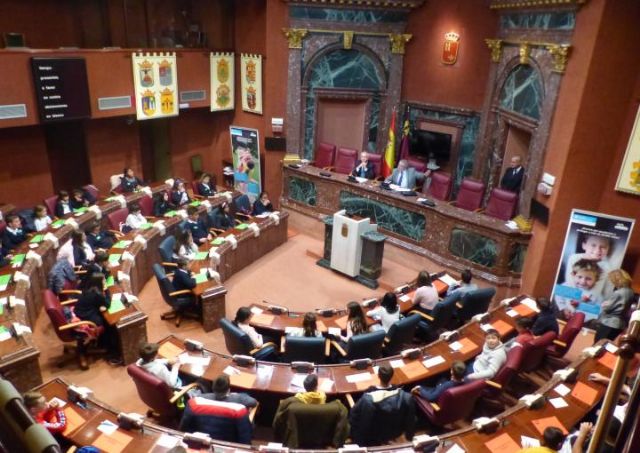 Imagen del último pleno de Aldeas Infantiles SOS celebrado el pasado 21 de noviembre, Foto 1