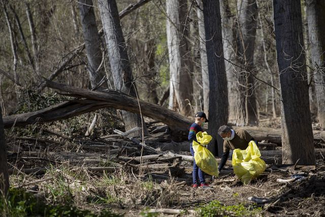 V edición de la gran recogida de residuos abandonados en la naturaleza - 2, Foto 2