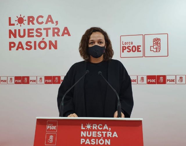 El PSOE califica de lamentable el intento del ex alcalde Fulgencio Gil de politizar un acto tan solemne como el del X aniversario de los terremotos - 1, Foto 1