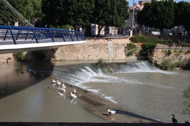 La Dirección General del Agua del MITECO adjudica el estudio integral del estado de conservación y niveles de seguridad del encauzamiento del río Segura - 1, Foto 1