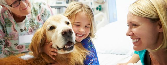 Purina refuerza su compromiso con la niñez a través de intervenciones con perros en hospitales para mejorar su salud física, mental y emocional - 1, Foto 1