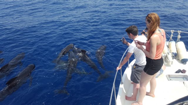 Turismo organiza un 'press-trip' para impulsar la percepción de la Región como destino 'multiexperiencia' en el mercado británico - 1, Foto 1