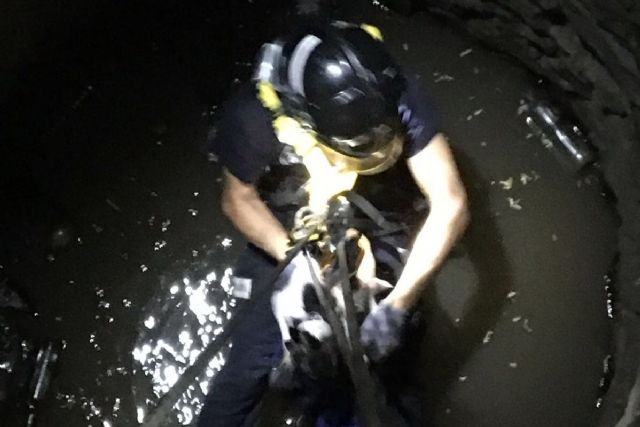 Bomberos de Cartagena rescatan a un perro atrapado en un pozo de Calblanque - 1, Foto 1