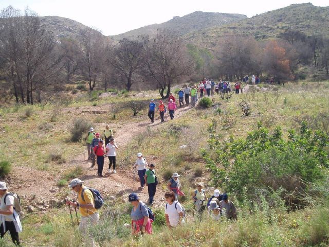 Clausura del curso de Senderistas de los Clubes de Mayores - 1, Foto 1