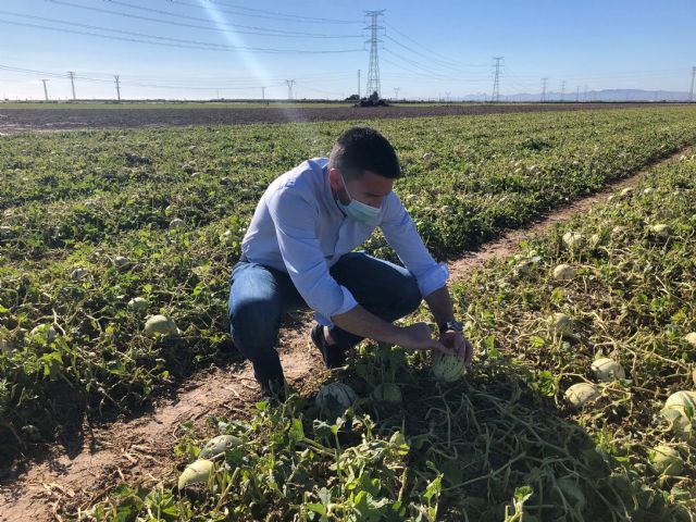 El consejero de Agricultura visita la zona más afectada por el granizo del lunes - 1, Foto 1