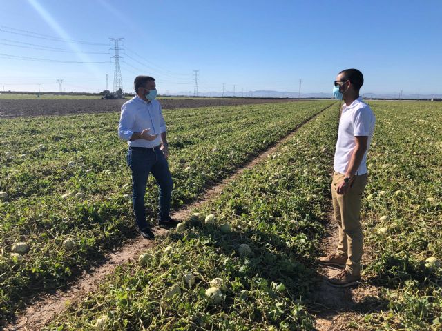 El consejero de Agricultura visita la zona más afectada por el granizo del lunes - 2, Foto 2