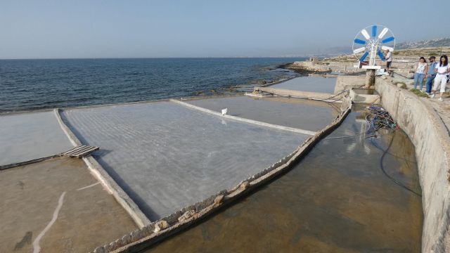 Reconocimiento internacional para las Salinas de Marchamalo - 1, Foto 1