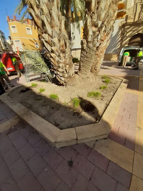 El Ayuntamiento de Lorca informa de un tratamiento contra el pulgón, previsto para este miércoles, en el arbolado de las calles de la urbanización Alameda de Los Tristes - 1, Foto 1