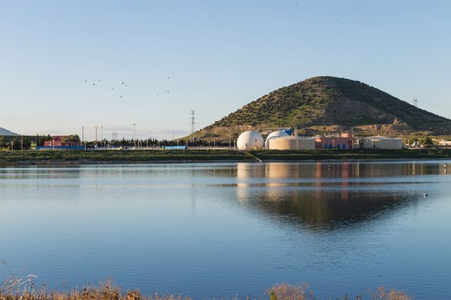 El Ministerio incluye las lagunas de Cabezo Beaza en un inventario nacional de humedales - 2, Foto 2