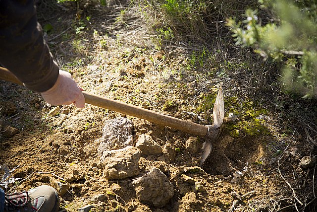 ARBA Cartagena presenta su ‘Trinchera verde’, una barrera de lucha contra la desertización y de conservación de la biodiversidad - 2, Foto 2