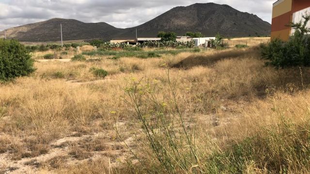 El PP denuncia el abandono en el que Diego José Mateos ha sumido a la pedanía de La Paca y exige la ejecución de una urgente batería de mejoras - 3, Foto 3