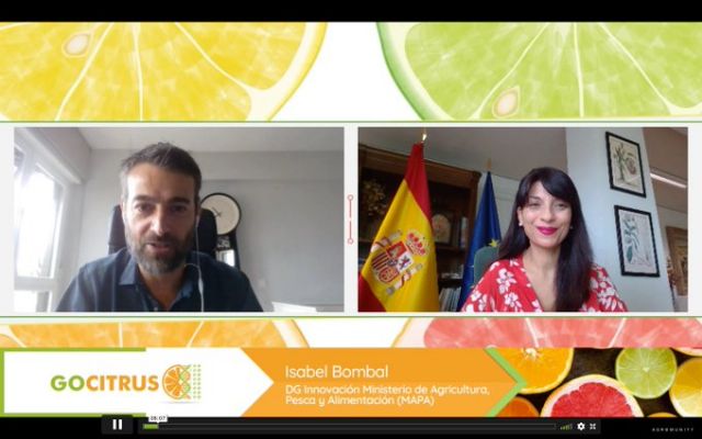 Más de 250 profesionales participaron en el evento online de GOCITRUS para analizar la innovación varietal y las nuevas tecnologías en el sector de los cítricos - 1, Foto 1