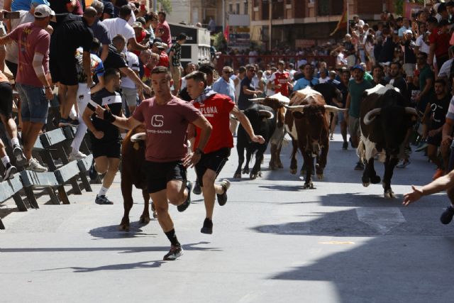 El segundo encierro de las Fiestas Patronales de Blanca en honor a San Roque brinda vistosas carreras - 1, Foto 1