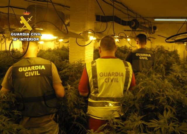 La Guardia Civil desmantela en Alhama de Murcia un grupo delictivo que cultivaba marihuana, Foto 1