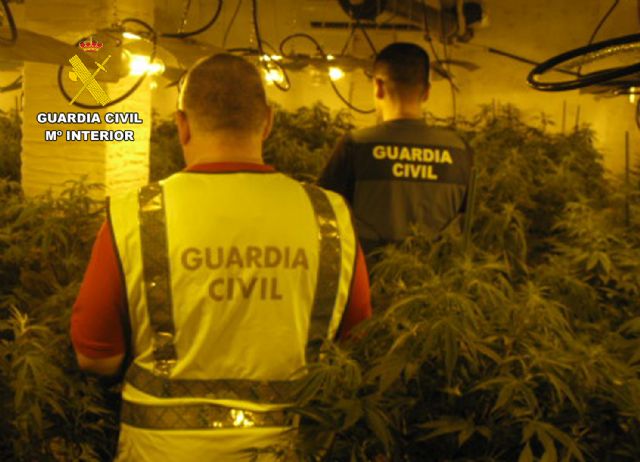 La Guardia Civil desmantela en Alhama de Murcia un grupo delictivo que cultivaba marihuana, Foto 3