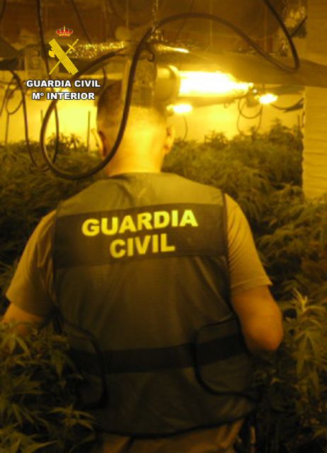 La Guardia Civil desmantela en Alhama de Murcia un grupo delictivo que cultivaba marihuana, Foto 4