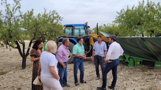 La Región será la tercera productora de almendra de España pese a las lluvias intensas de primavera y a la sequía - 1, Foto 1