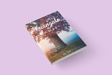 Triángulo de amor, una novela romántica que describe la travesía que sucede al no soltar recuerdos del pasado - 1, Foto 1