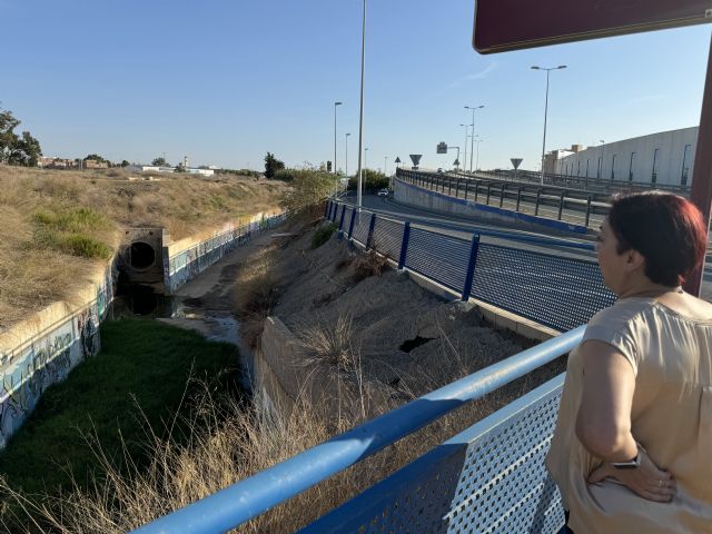 El Gobierno local muestra su incapacidad para atajar la plaga de mosquitos en Nueva Cartagena, pese a los avisos de MC - 3, Foto 3