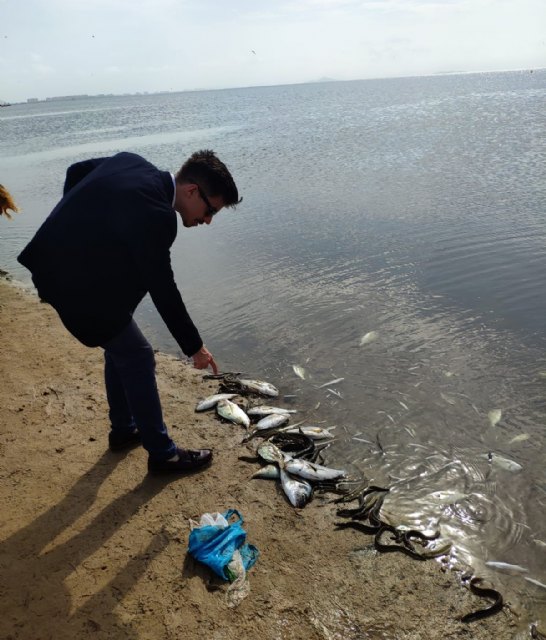 Ciudadanos pondrá en marcha comisiones especiales sobre el Mar Menor en el Congreso y el Senado - 2, Foto 2