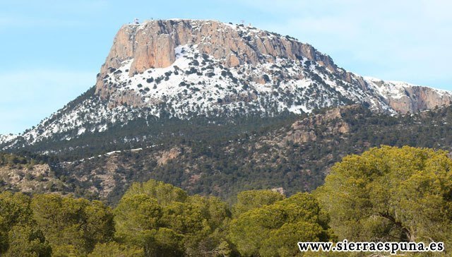 Se inician los trabajos selvícolas en Sierra Espuña para fortalecer, rejuvenecer y mejorar la biodiversidad forestal - 1, Foto 1