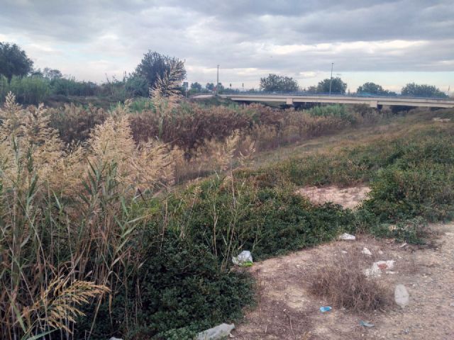 Ciudadanos denuncia la falta de mantenimiento del carril para peatones en la mota del río Segura a su paso por Llano de Brujas - 1, Foto 1