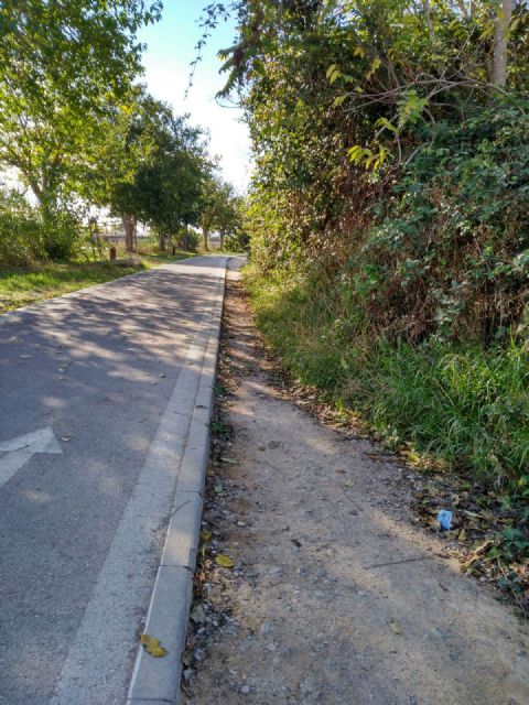 Ciudadanos denuncia la falta de mantenimiento del carril para peatones en la mota del río Segura a su paso por Llano de Brujas - 2, Foto 2