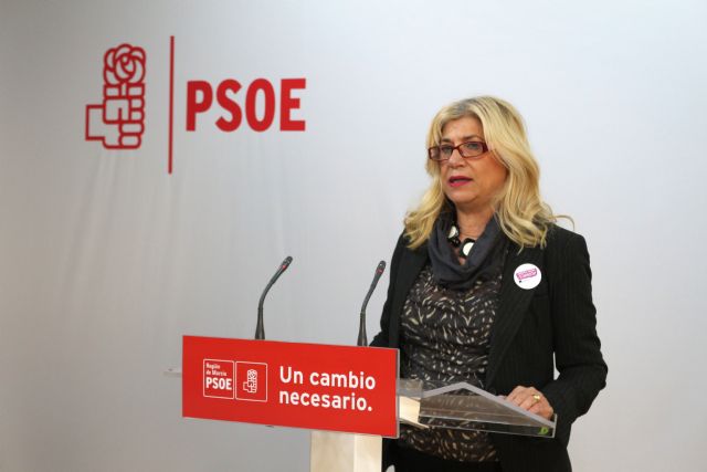 Gloria Alarcón: La ley de familia que propone el PP es una ley antifamilia - 1, Foto 1