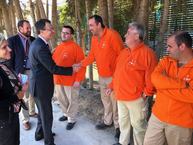 30.000 flores de pascua, cultivadas por personas con discapacidad, llevarán la Navidad a jardines de barrios y pedanías - 3, Foto 3