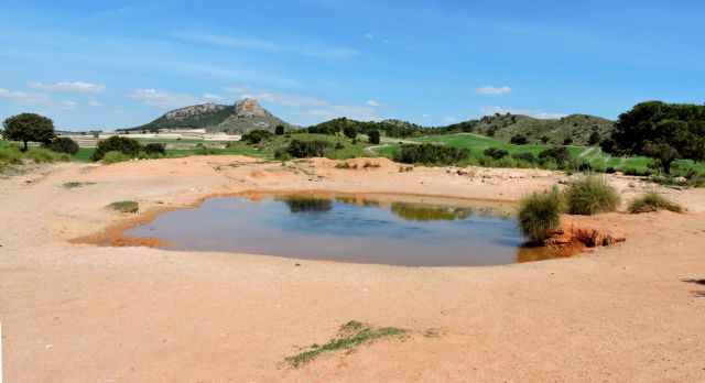 Un estudio de la UMU afirma que el 50% de la biodiversidad acuática se vería comprometida con la desaparición de las charcas naturales - 1, Foto 1