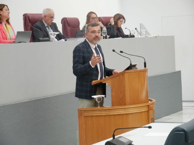 La Asamblea aprueba, sin el apoyo del PSOE, la moción del PP para pedir al Gobierno de España infraestructuras que eviten inundaciones en el Mar Menor - 1, Foto 1