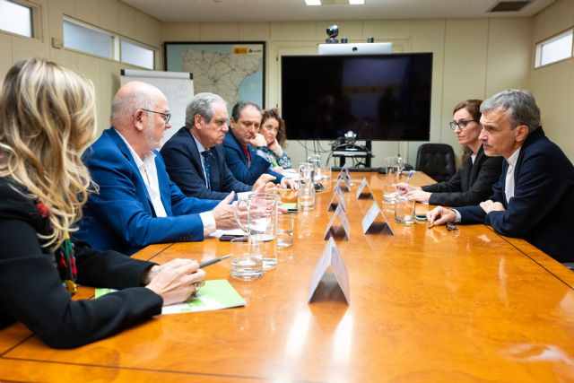 El Consejo General de Farmacéuticos y el MICOF trasladan a la ministra de Sanidad la necesidad de ayudas a las farmacias afectadas por la DANA y piden flexibilizar la sustitución de fármacos - 1, Foto 1