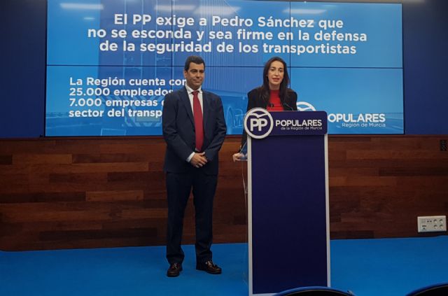 El PP exige al Gobierno de Pedro Sánchez que no se esconda y sea firme en la defensa de la seguridad de los transportistas - 1, Foto 1