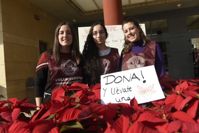 La Universidad de Murcia recoge 150 donaciones de sangre en su campaña 'Diciembre Solidario' - 3, Foto 3