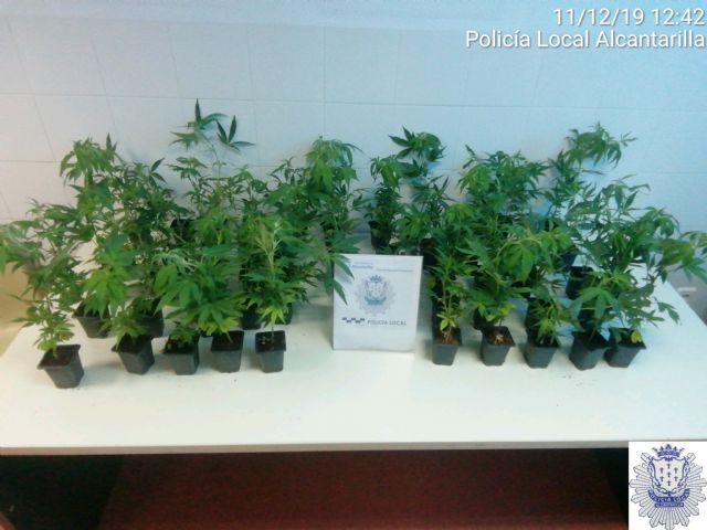 Sorprendido cuando portaba 52 plantas de cannabis en el interior de su vehículo - 1, Foto 1