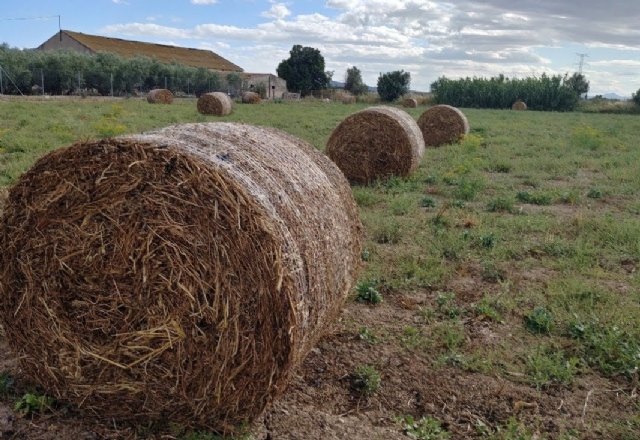 Las comarcas murcianas afrontan a partir de enero el reto del desarrollo rural - 1, Foto 1