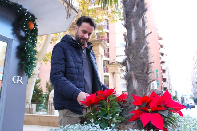 La Navidad llega a los espacios verdes de Lorca con 2.000 flores de pascua - 2, Foto 2