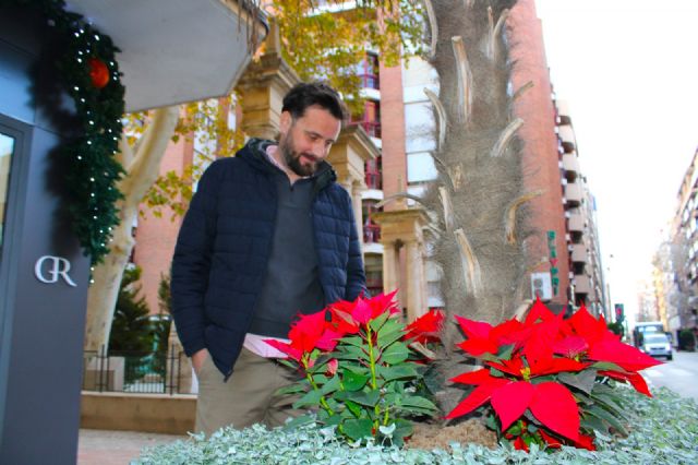 La Navidad llega a los espacios verdes de Lorca con 2.000 flores de pascua - 3, Foto 3