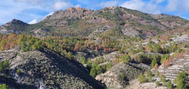 El PSOE de Lorca alerta del peligroso estado de la pista forestal de la Peñarrubia y exige a la CARM su arreglo inmediato - 5, Foto 5