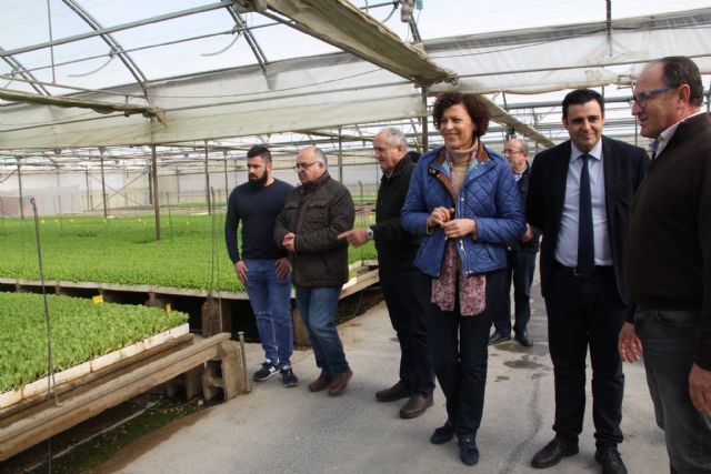 La alcaldesa y el director general del SEF visitan la empresa agrícola PlantiAgro que genera un centenar de empleos al año - 2, Foto 2