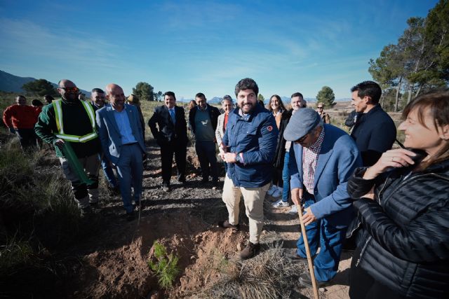 El Gobierno regional promueve la reforestación junto a empresas para la reducción de la huella de carbono - 2, Foto 2