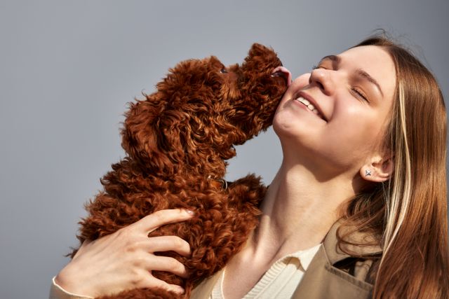 Las mascotas, el gran amor de los españoles en San Valentín - 1, Foto 1