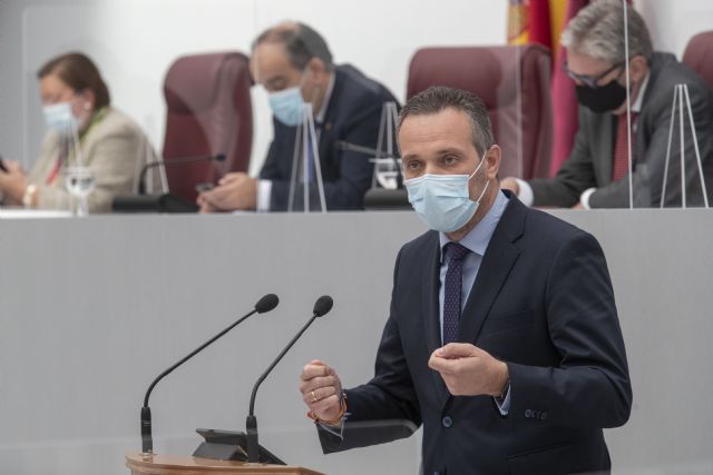 El PP exige a Conesa y Martínez Vidal que dejen ya las intrigas políticas y permitan que la Región siga funcionando con normalidad - 1, Foto 1