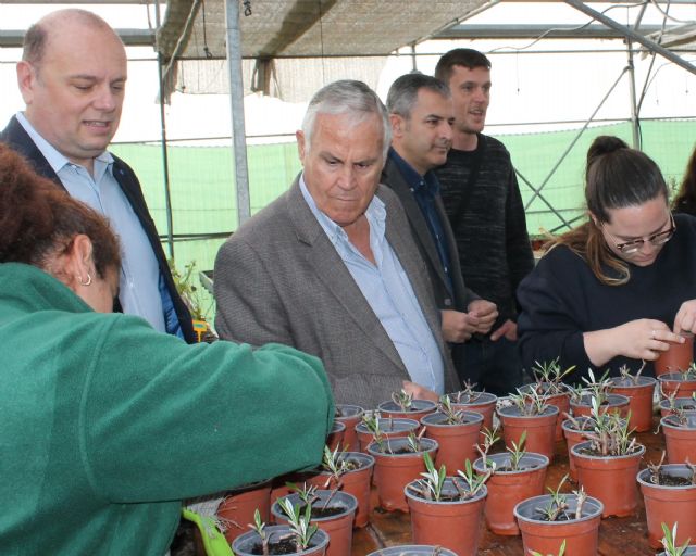 Fundown y Proexport colaborarán en la implantación de barreras vegetales en el Mar Menor - 1, Foto 1