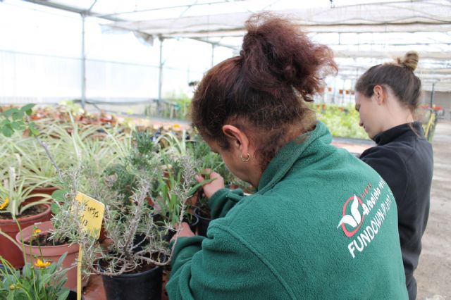 Fundown y Proexport colaborarán en la implantación de barreras vegetales en el Mar Menor - 2, Foto 2