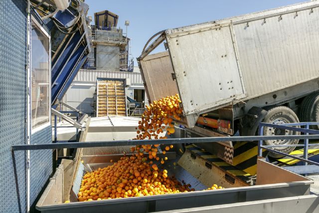 El CGC alerta que la ratificación de Mercosur no es solución para la paliar la falta de cereal por la crisis de Ucrania - 1, Foto 1