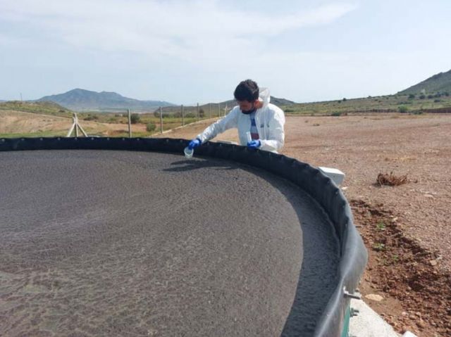 Un estudio del CSIC y Agrosolmen demuestra la efectividad de la tecnología EBD para reducir la contaminación ambiental - 1, Foto 1