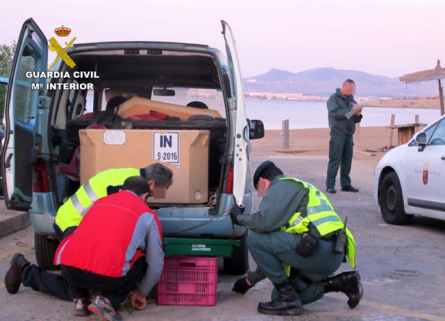 Sorprenden a dos pescadores furtivos con 25 kilos de langostino del Mar Menor en La Manga - 2, Foto 2