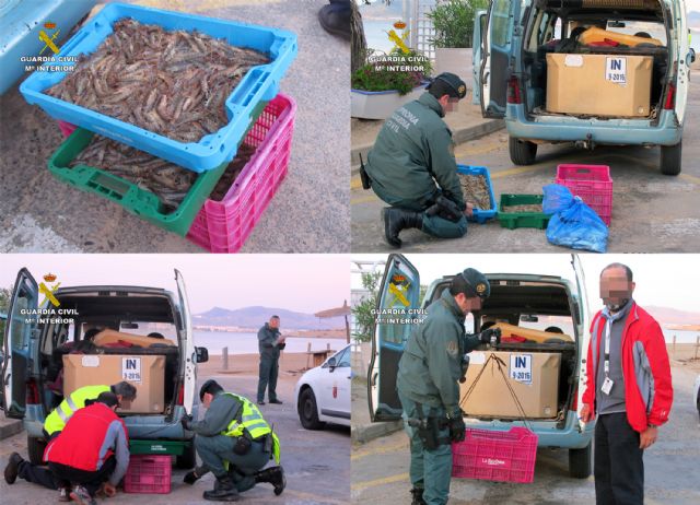 Sorprenden a dos pescadores furtivos con 25 kilos de langostino del Mar Menor en La Manga - 5, Foto 5