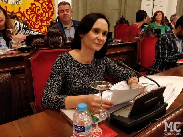 Isabel García argumenta las enmiendas de MC al Presupuesto, iniciativas que ponen el acento en las personas y sus necesidades - 2, Foto 2